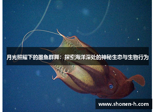 月光照耀下的墨鱼群舞：探索海洋深处的神秘生态与生物行为